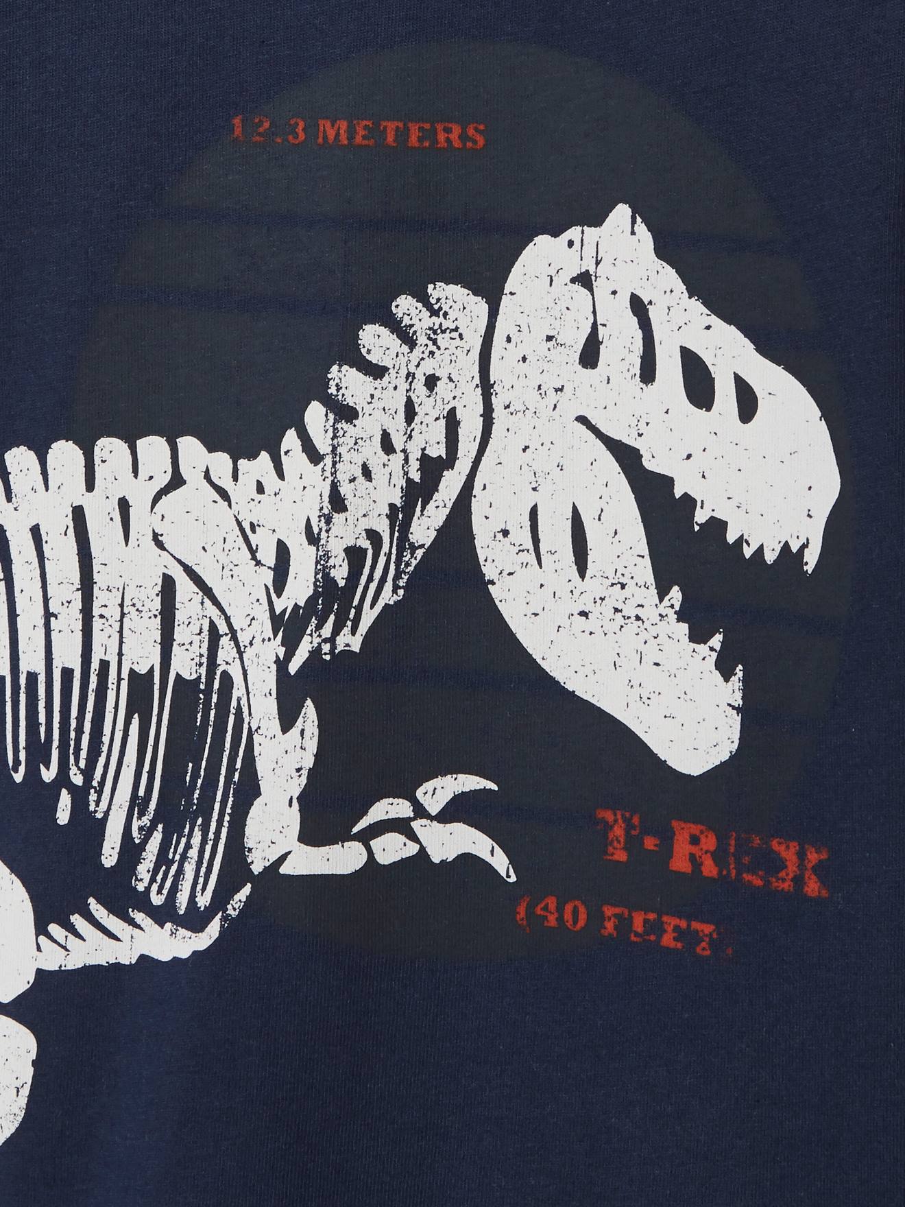 https://kids-avenue.com.ua/pages/gallery/6110/t-shirt-garcon-dino-t-rex-squelette (2).jpg